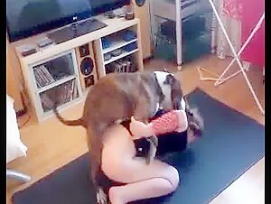 Esposa ficando Atada com Cão