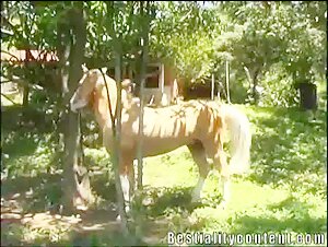 Horse Milly 1 BestialityContent