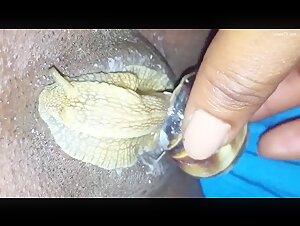 snail on pussy 2