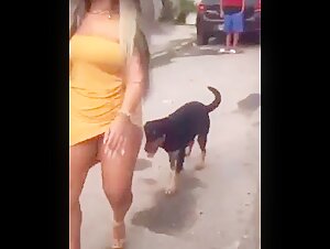 dog tries to eat woman on the street