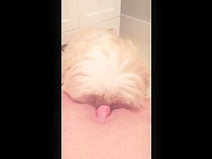 Bathroom lick