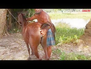 anus clitoris filly fist fisting tail mare