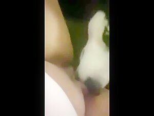 Dog lick 5 comment for more :)
