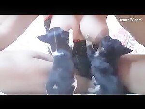 Milky breast and puppies