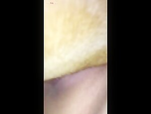 Cam Sex With Dog