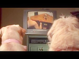 Porndogs The Adventures Of Sadie Film (Dog and Woman scene)