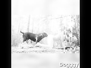 DOGGGY 3