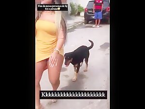 Dogsex in public