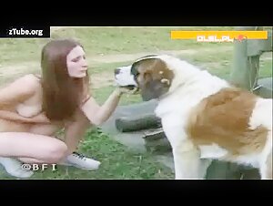 Dog sex with blowjob on outdoor vid