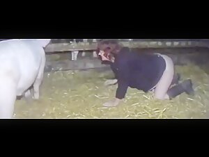 woman pig and woman pony
