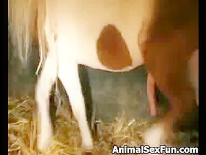 Wild animal sex with a pony