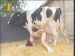 Girl milking and fucks with a cow