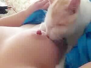 Breastfeeding my cat