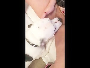 Woman being licked by dog