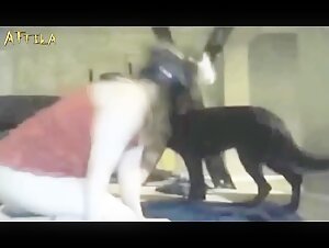 amateur masked webcam sex with dog