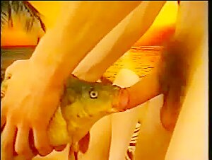 The fish that gives the blowjob