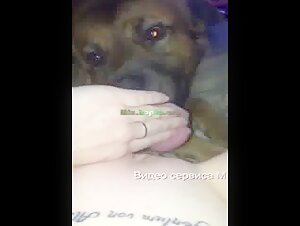 Dog licks pussy while she has an orgasm