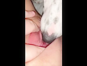 Dog licks teen pussy 1