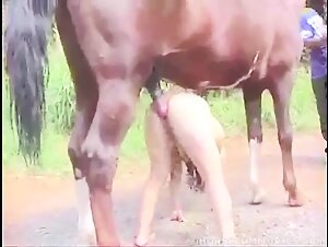 Big ass fuck a horse cock