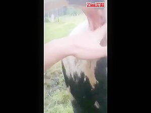 Bull anal fingering