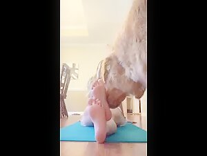 Dog lick blonde sexy girls feet