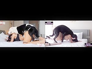 Videos Tagged bestiality zoo porn  BestialitySexTaboo  