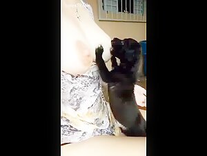 Feeding her pup