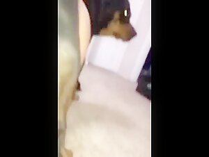 Teen with hairy pussy love to fuck her dog
