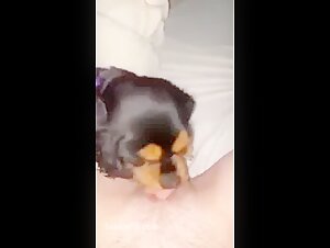 Pupper makes pussy cum