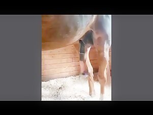 Horse with sudden excitement