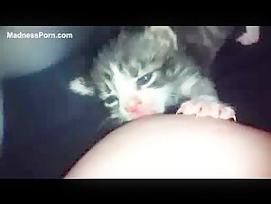 Cat breastfeed women milk