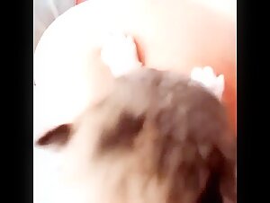 Breastfeeding puppy 7