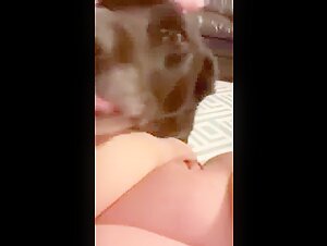Vocal chubby licked by dog