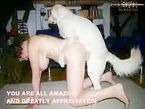 Compilation dogsex