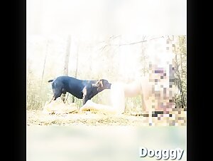 DOGGGY IA Colored (4)