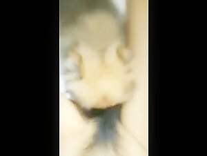 Puppy Licking Hairy Pussy