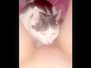 Kitty loving pussy