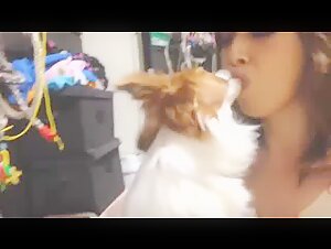 asian kissing dog