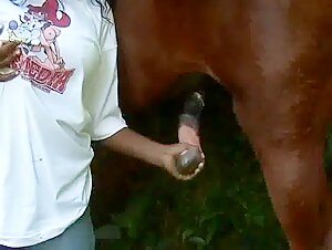 INTERRACIAL OUTDOOR BEASTIALITY WITH A HORSE AND EBONY