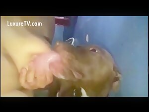 Woman breastfeeding big dog in bathroom rare full video