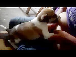 Breastfeeding Puppy 2