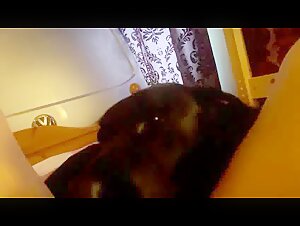 Black dog licks pussy